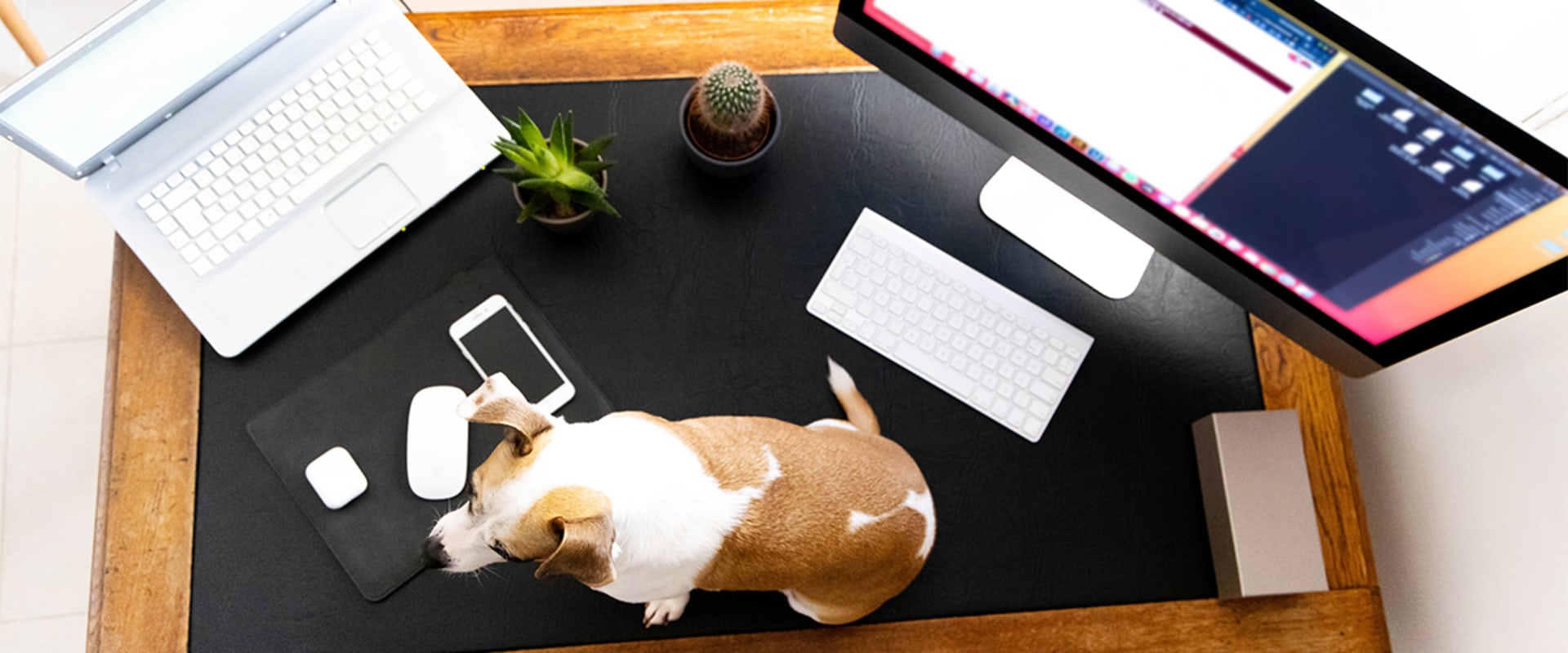 The Ultimate Guide to Finding the Right Video Conferencing Option for Your Educational Needs