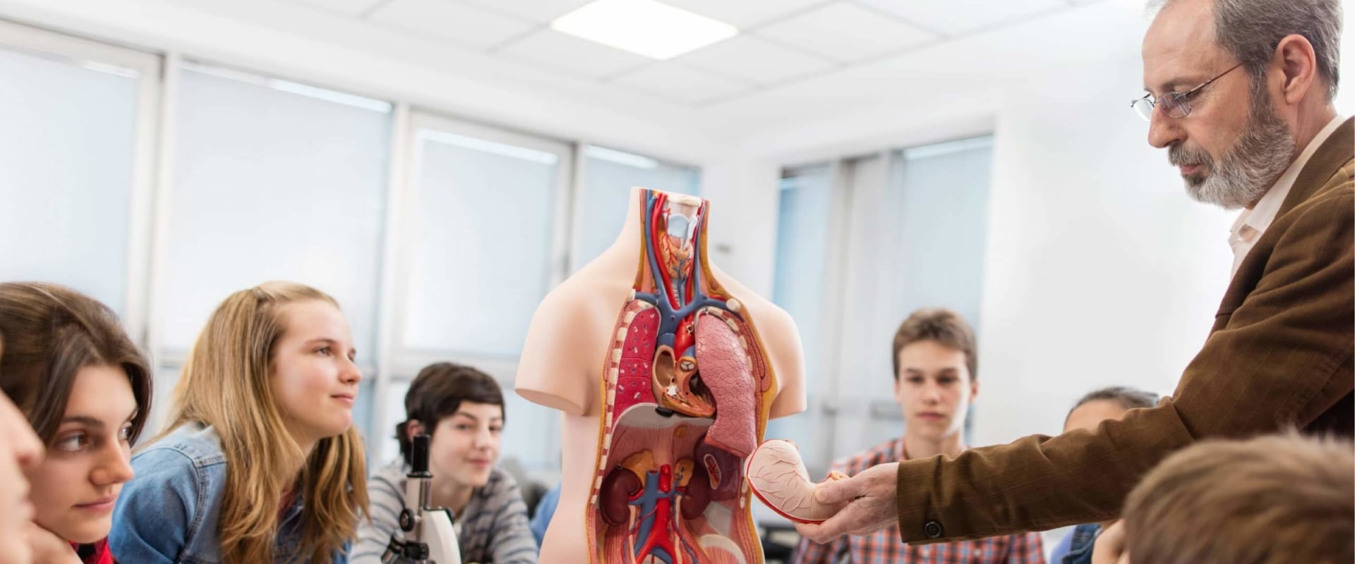 A Comprehensive Guide to Finding the Right Biology and Anatomy Tutors in the UK