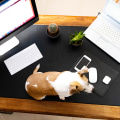 The Ultimate Guide to Finding the Right Video Conferencing Option for Your Educational Needs