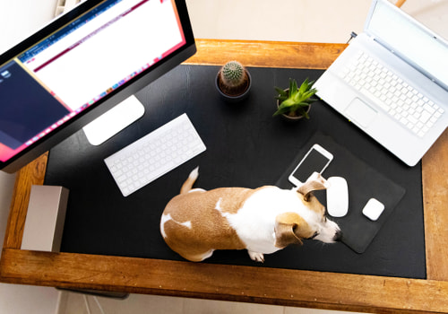 The Ultimate Guide to Finding the Right Video Conferencing Option for Your Educational Needs