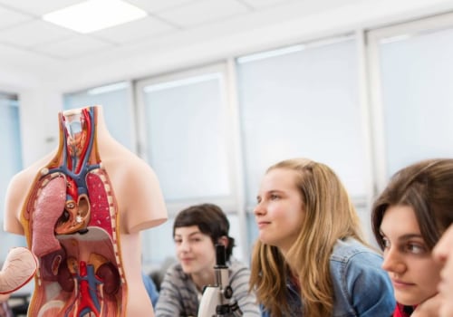 A Comprehensive Guide to Finding the Right Biology and Anatomy Tutors in the UK